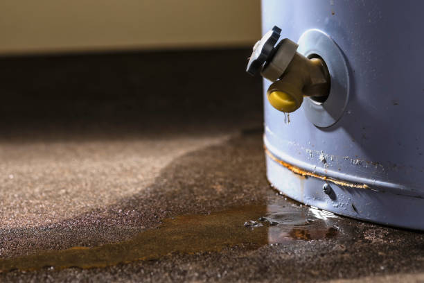 Best Sewage cleanup and water damage restoration  in Norwalk, CT