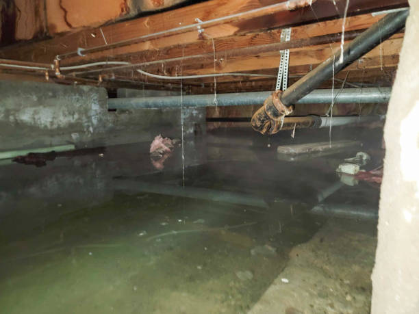 Best Ceiling water damage repair  in Norwalk, CT