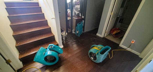 Best 24/7 water damage repair  in Norwalk, CT