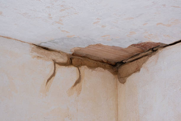 Best Local water damage restoration  in Norwalk, CT