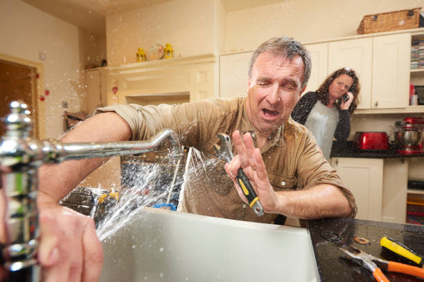 Best Water damage mitigation services  in Norwalk, CT